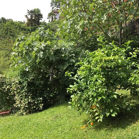 Marie-pierre Ciboure