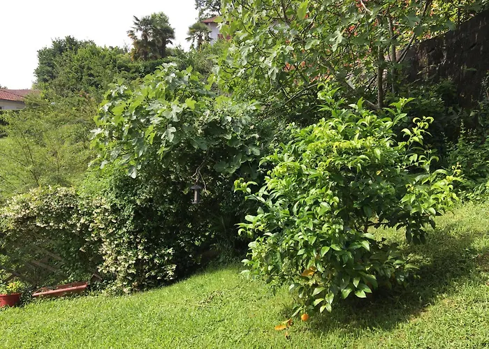 Marie-pierre Ciboure